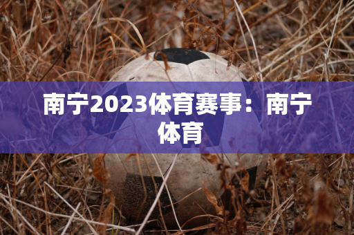 南宁2023体育赛事：南宁 体育